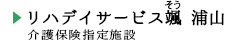 リハデイサービス颯 浦山の概要